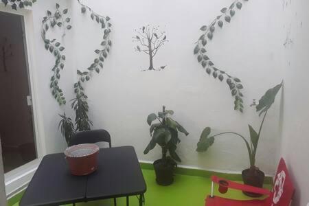 Apartment Departamento Pequeno Y Acogedor En Colonia Roma Mexico City